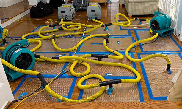 Professional Sewage Cleanup technician working in Detroit, ME